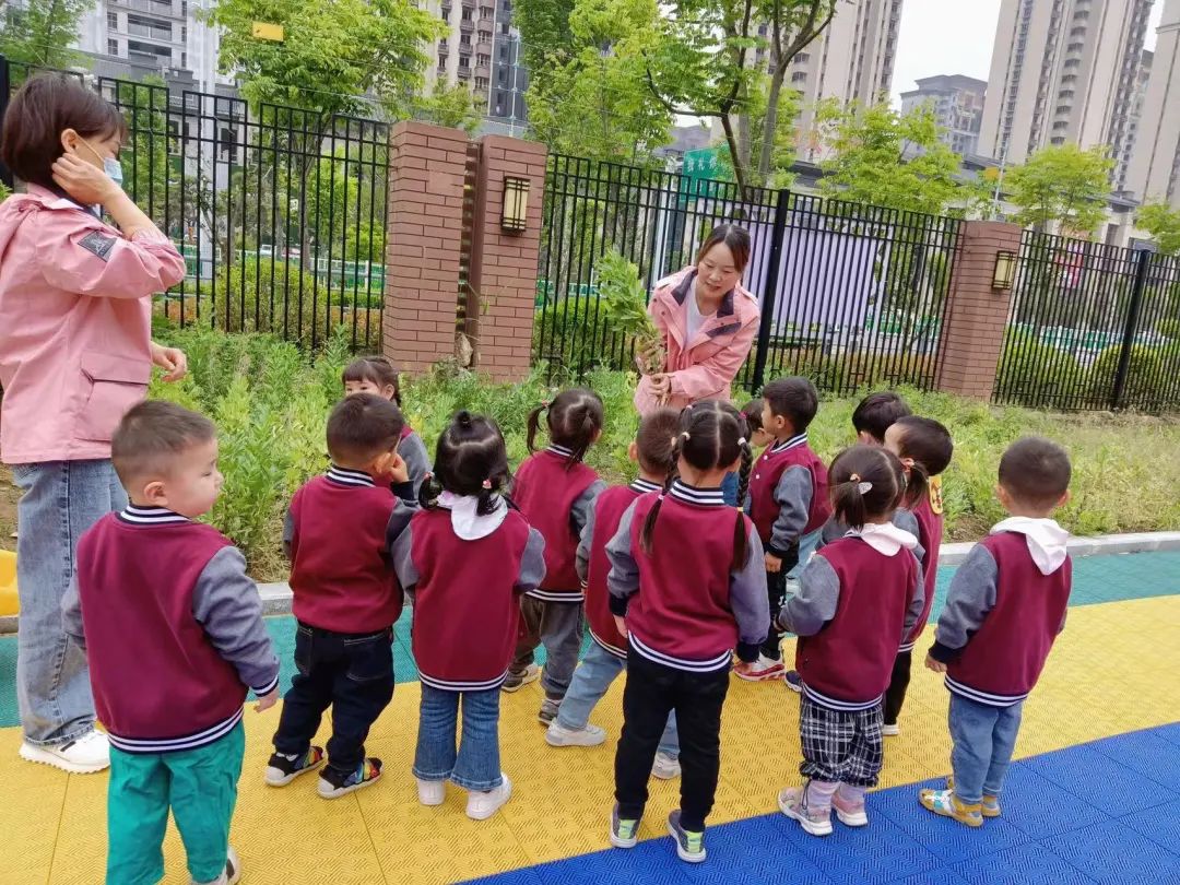 食”光美味，“育”見(jiàn)美好——培文幼兒園第三期食育課程